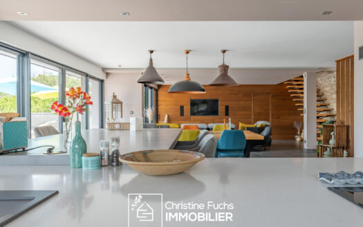 Fabuleuse villa avec la nature pour horizon …