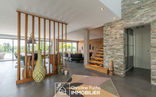 Fabuleuse villa avec la nature pour horizon …