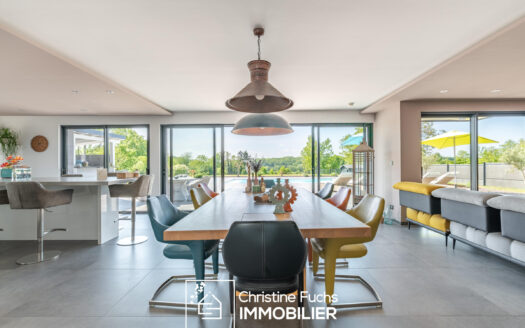 Fabuleuse villa avec la nature pour horizon …