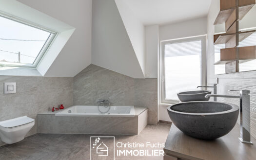 Fabuleuse villa avec la nature pour horizon …