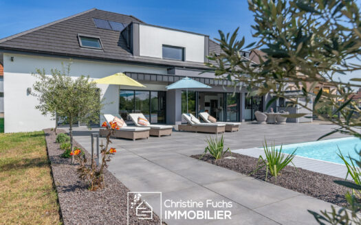 Fabuleuse villa avec la nature pour horizon …
