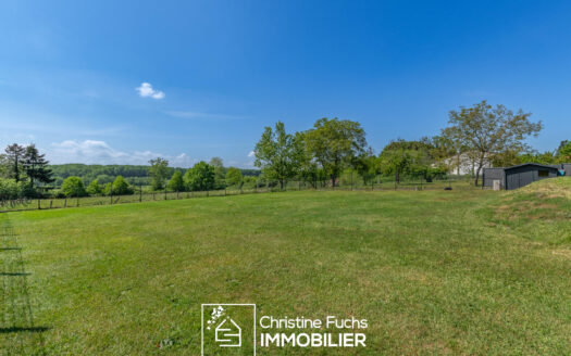 Fabuleuse villa avec la nature pour horizon …