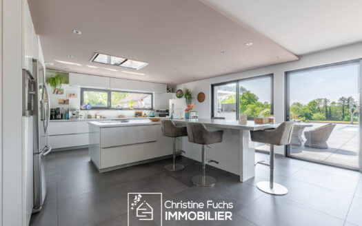 Fabuleuse villa avec la nature pour horizon …