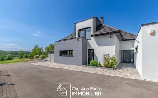 Fabuleuse villa avec la nature pour horizon …