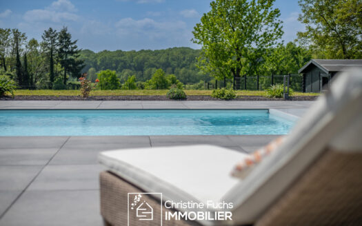 Fabuleuse villa avec la nature pour horizon …