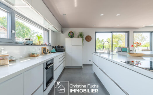 Fabuleuse villa avec la nature pour horizon …