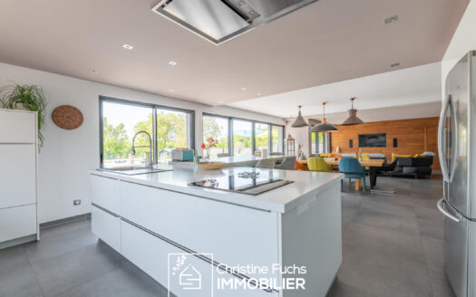 Fabuleuse villa avec la nature pour horizon …