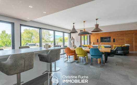 Fabuleuse villa avec la nature pour horizon …