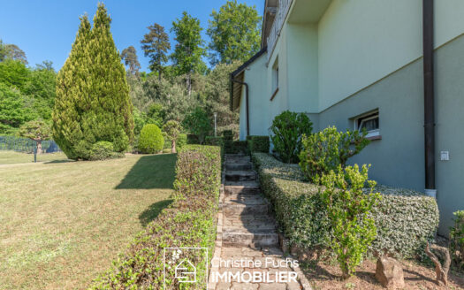 Jolie maison dans un très bel environnement