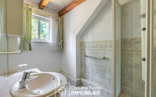 Jolie maison dans un très bel environnement