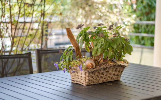 Niederhausbergen – Grand 3 pièces, terrasse, balcon, cave et garage